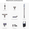 Dyson Ball Animal Total Clean Upright Vacuum - Iron/Blue