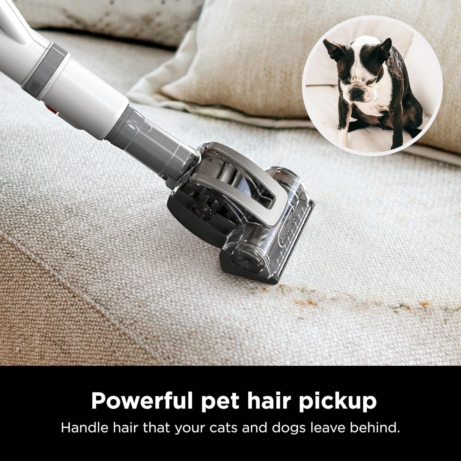 Shark NV356E Upright Vacuum, Navigator Lift-Away with Swivel Steering-White