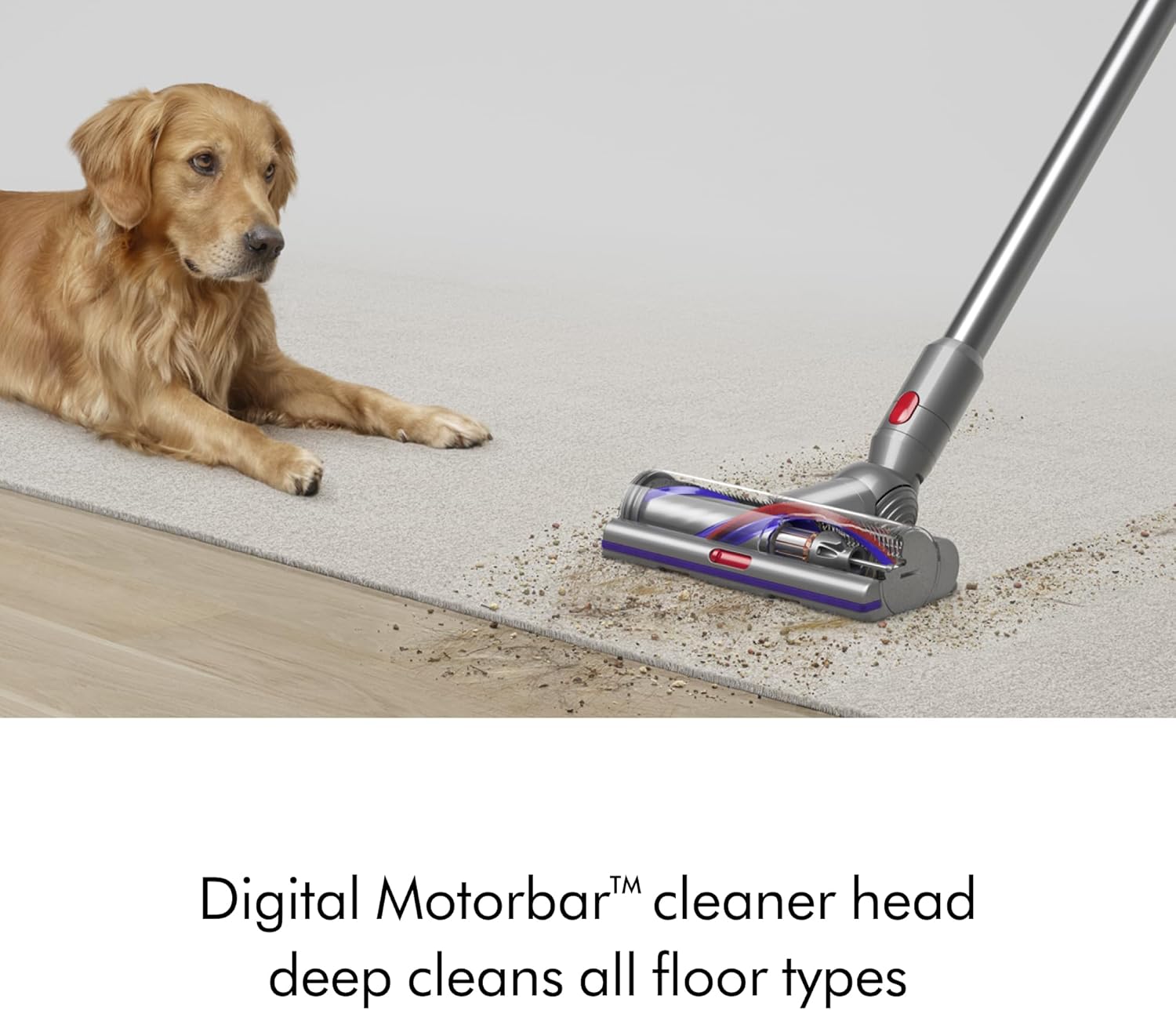 The Vacuum Depot