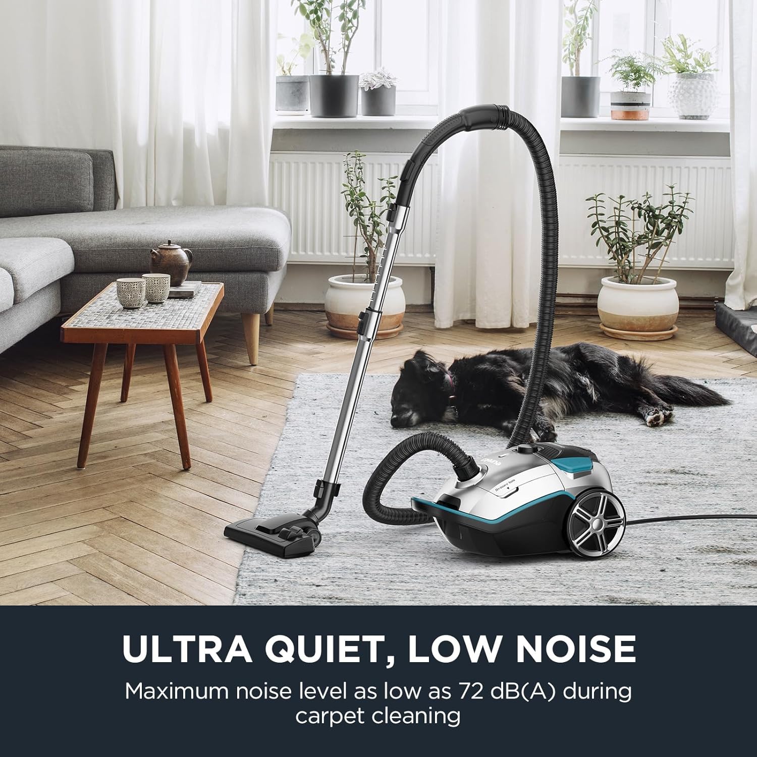 The Vacuum Depot