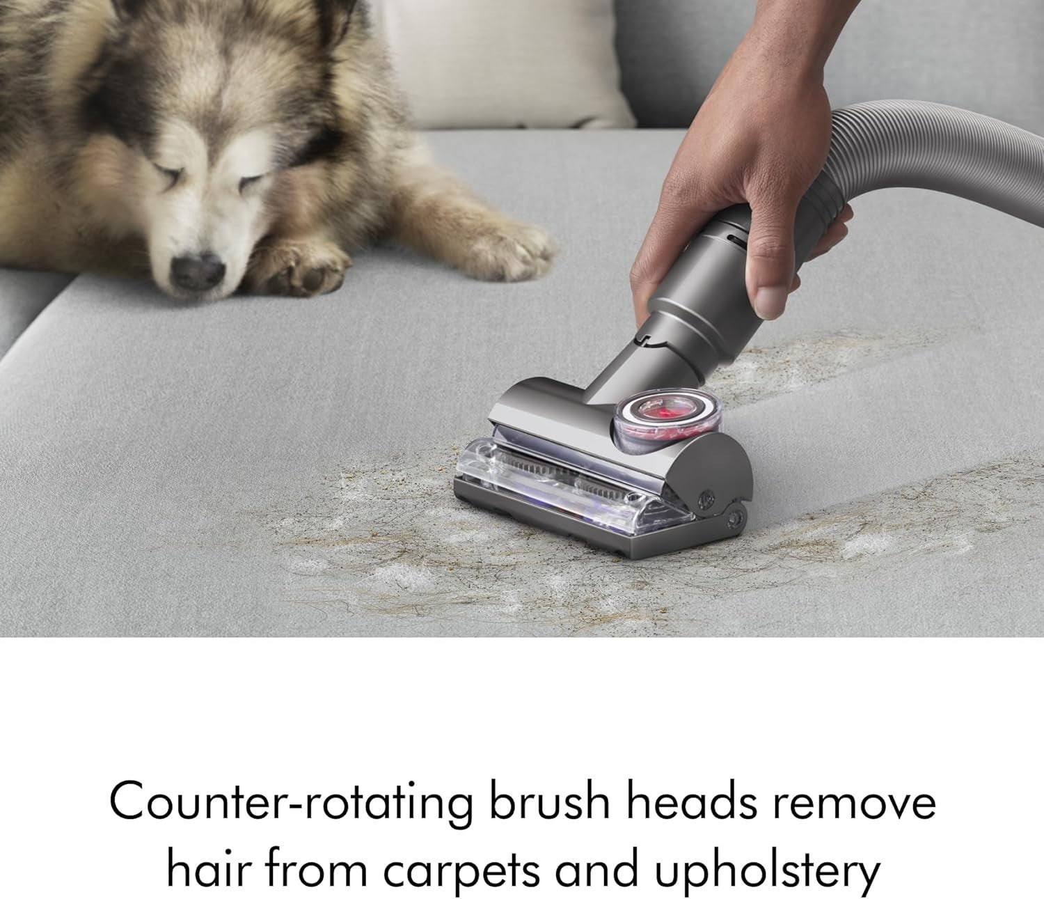 Dyson Ball Animal Total Clean Upright Vacuum - Iron/Blue
